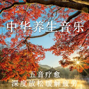 目黑惠AV在线播放免费
